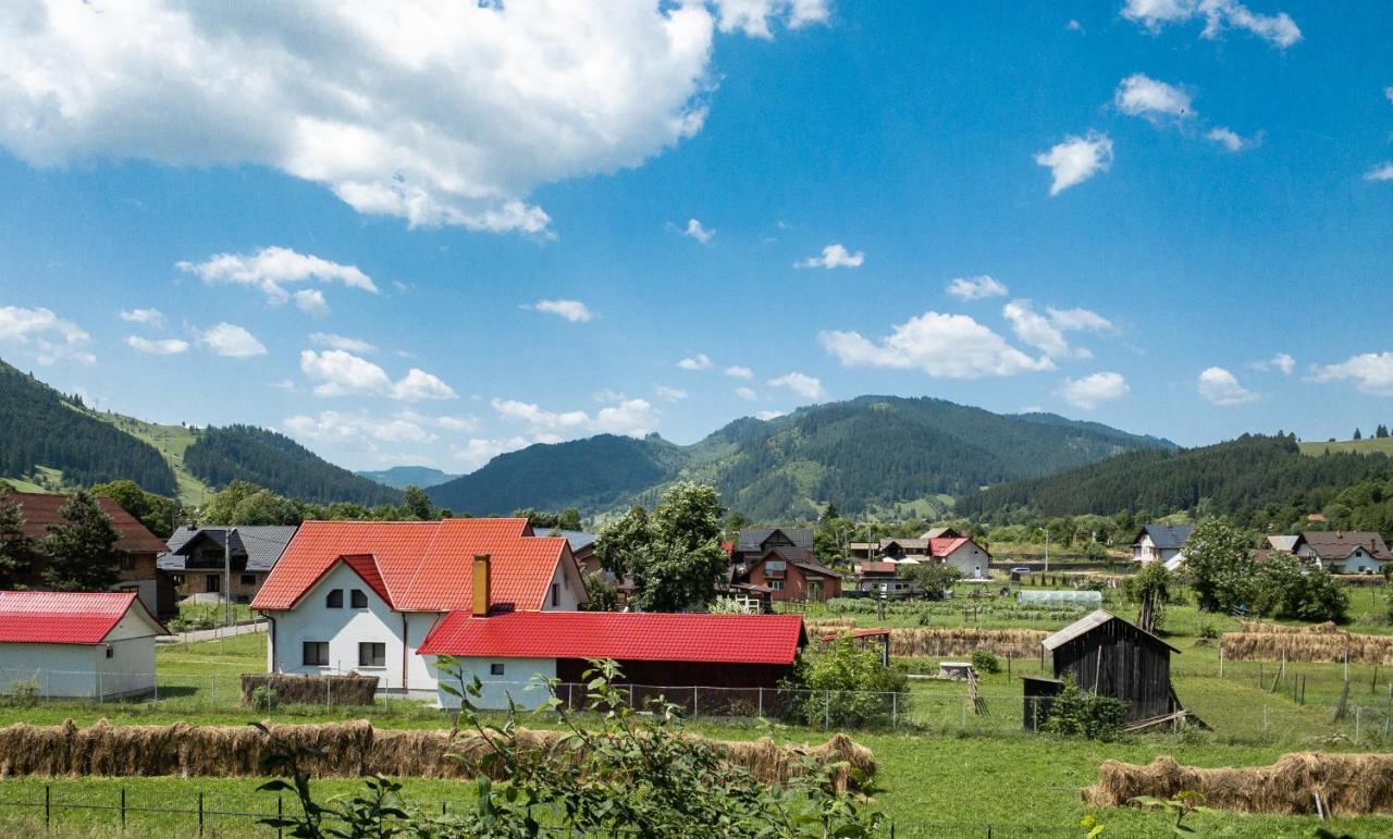 Pensiunea Magda Câmpulung Moldovenesc Exterior foto